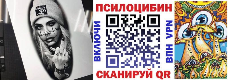 Купить  Нижний Ломов  Псилоцибиновые грибы прущие грибы 